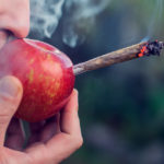 DIY Apple One-Hitter: How to Make A Homemade Cannabis Pipe