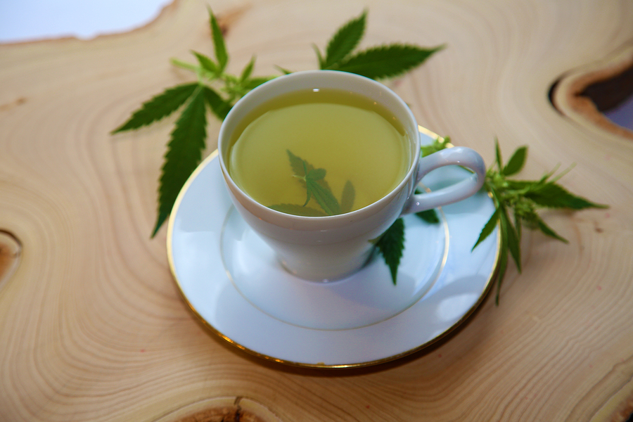 hemp tea: how to make cannabis tea