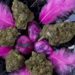 10 Kush Strains-cannabis